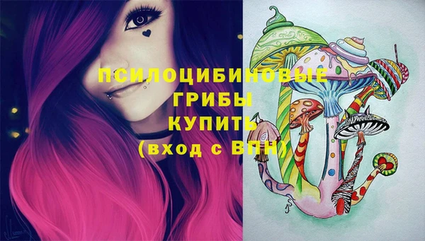 героин Михайлов