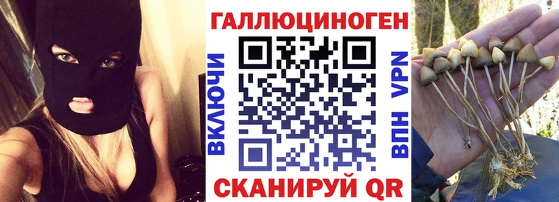 Купить закладки  Нея  Галлюциногенные грибы MAGIC MUSHROOMS 